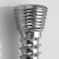 Locking Screw