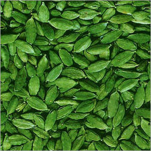 Cardamom