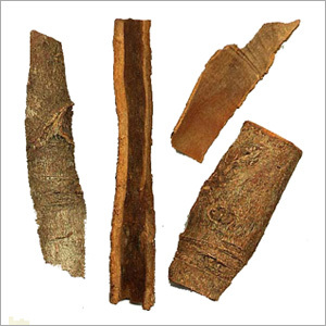Cinnamon