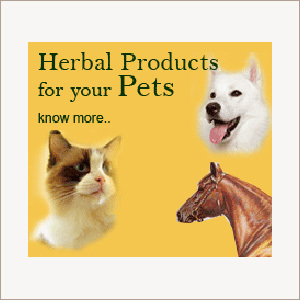 Herbal Products Pets