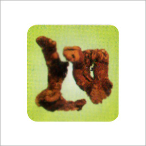 Herbal & Botanical Products