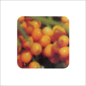 Herbal & Botanical Products