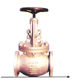 CS Globe Valve