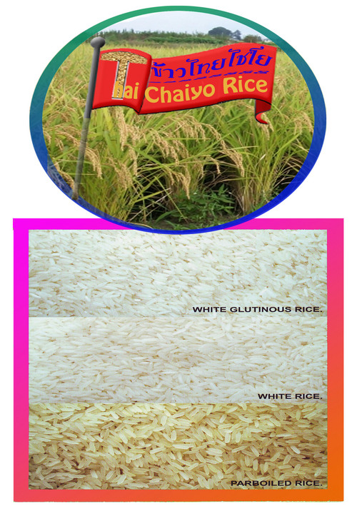 Rice
