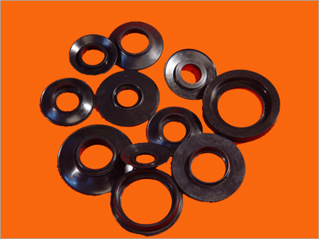 Check Valve
