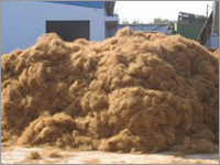 कार्यशाला