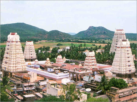 Artichecture & Museum Tours in India