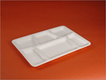 Five Section Acrylic Plate