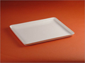 Acrylic Service Tray