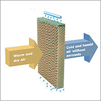 Cellulose Pad