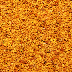 Lucerne Seeds