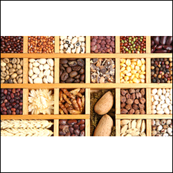 Organic Foods
