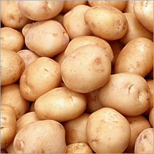 Potato