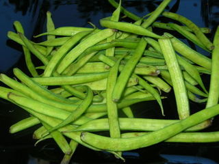 Gawar Beans