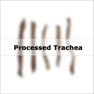Processed Trachea