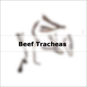Beef Tracheas