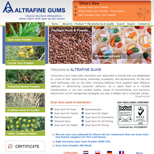 Search Engine Promotion