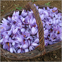 Saffrons Mogra