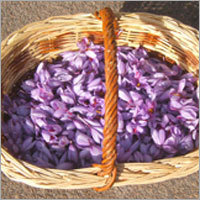 Saffron