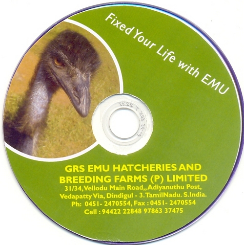 History And Business Process Of Emu