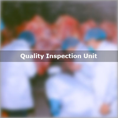 Quality Inspection Unit