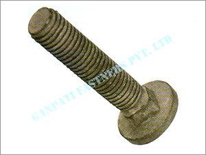 Carriage Bolt