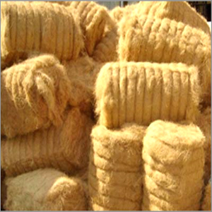 Coconut Fibre