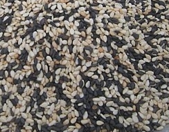 Sesame Seeds (Black & White)