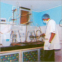 Preparation Of Environmental Status