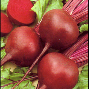 Beetroot