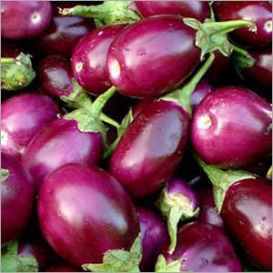 Brinjal - Purple Oval Variable Size | Rich Flavor Low Calorie Versatile Use Firm Texture