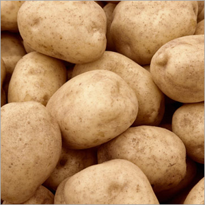 Fresh Potatoes