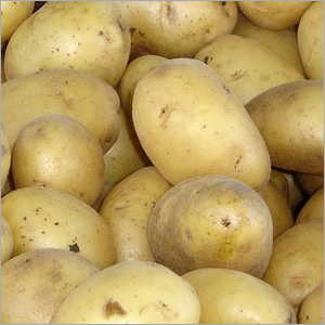 Potatoes