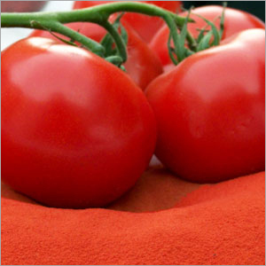 Tomato Powder