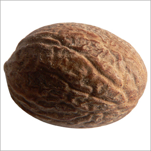 Natural Dried Nutmeg
