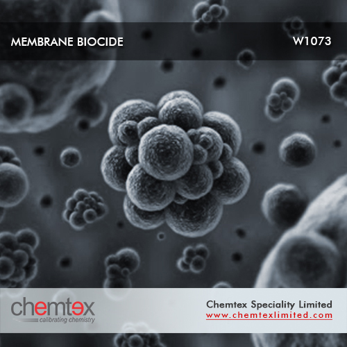 Ro Membrane Biocide or Disinfectant