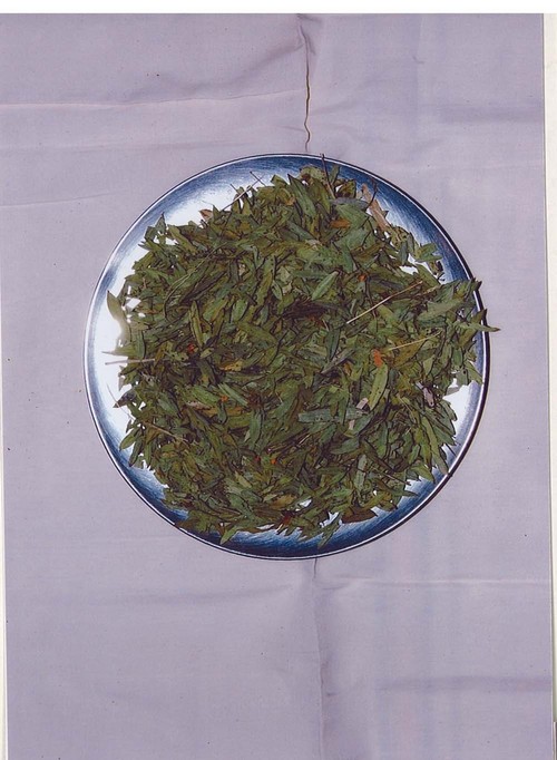 Senna Leaves