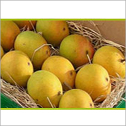 Hapus Mango