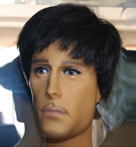 Mannequins Hairs