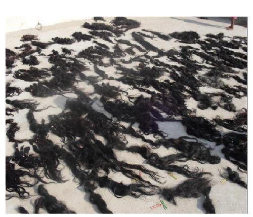 Hair Process