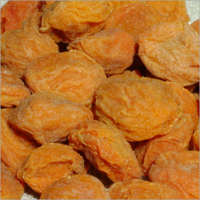 Apricot Turcail
