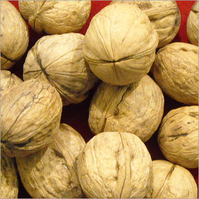 Walnut