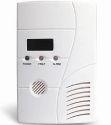 Stand Alone Gas Detectors