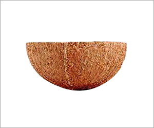 Coconut Shell