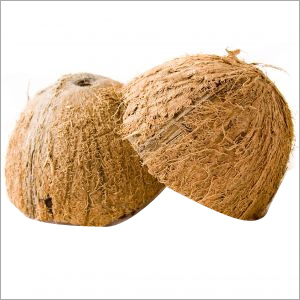 Coconut Shells