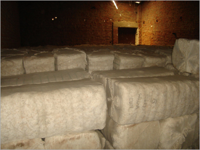 Cotton Bales