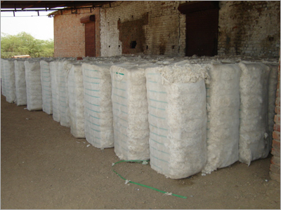 Raw Cotton