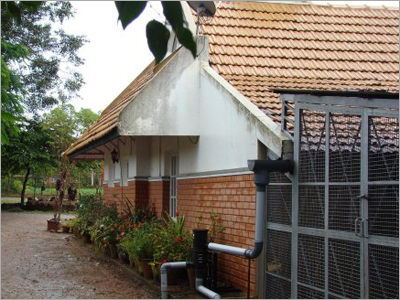 Rain Water Harvesting System House