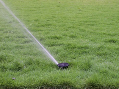 Pop Up Impact Sprinkler
