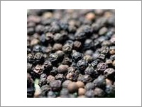 Black Pepper